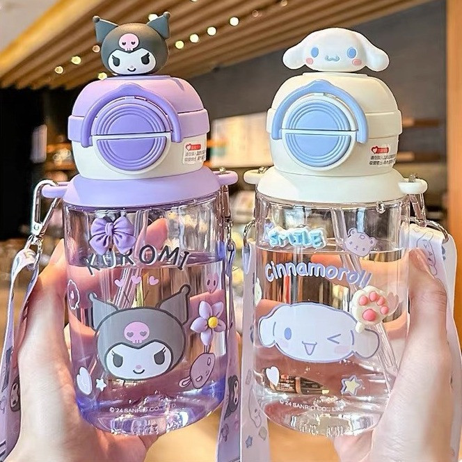 FAST PO SONA BOTTLE SANRIO SERIES