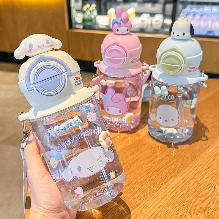 FAST PO SONA BOTTLE SANRIO SERIES