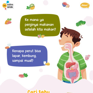 PO SERI SAINS ANAK BUNYI DAN SISTEM PENCERNAAN MANUSIA